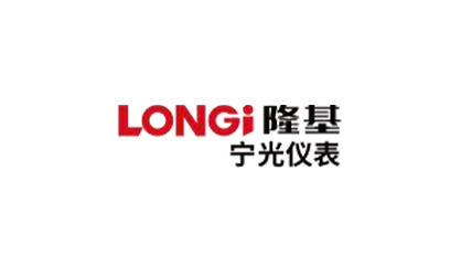 隆基宁光仪表